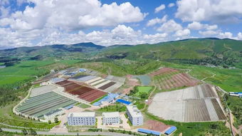 蝦青素提高您的生活質(zhì)量,健康美麗多一點(diǎn)