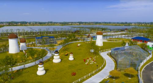 我們一起走過的2020 洋河新區文旅工作回眸